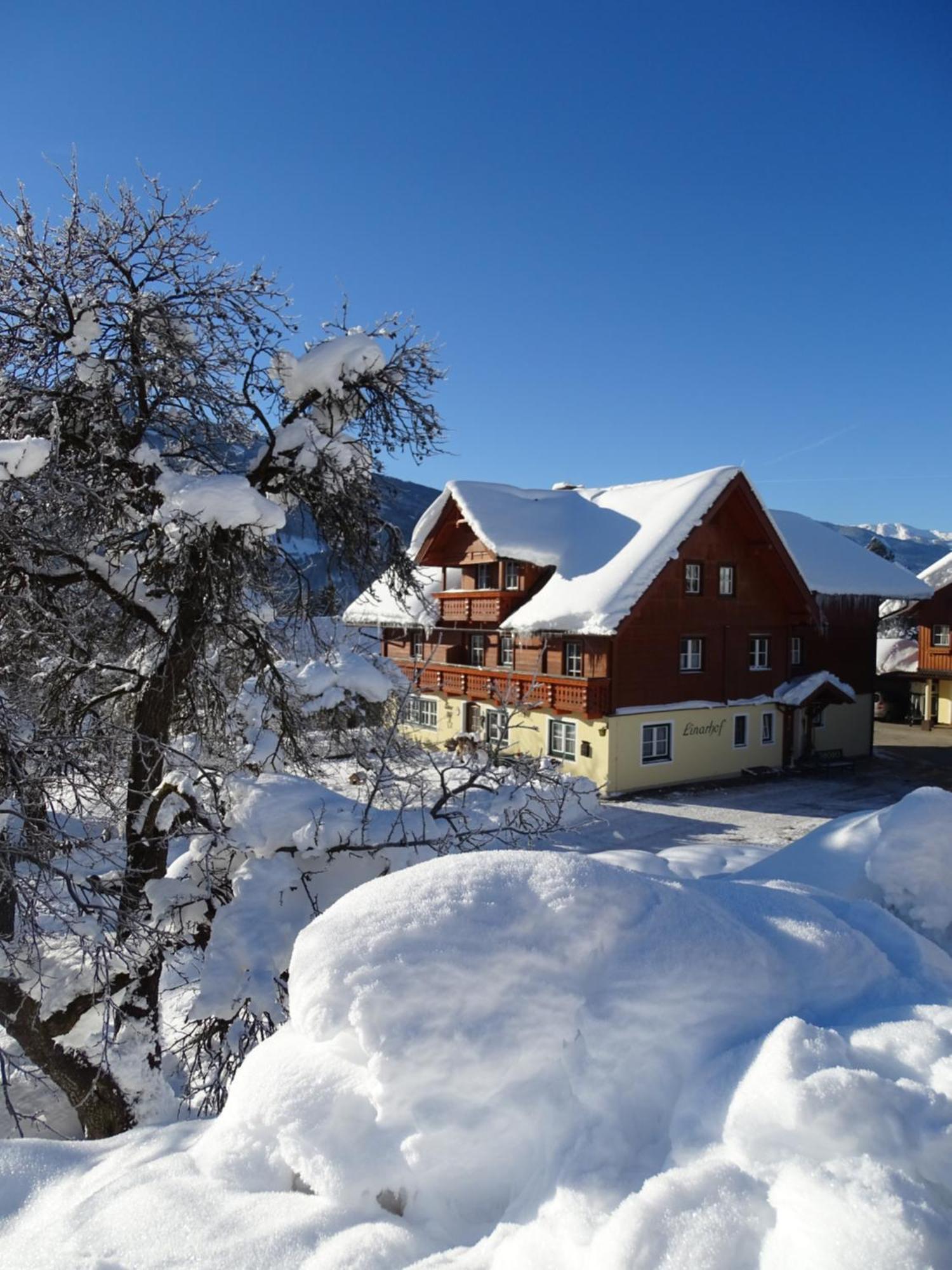 Linarhof Apartment Urlaub Am Bio Bauernhof Haus im Ennstal Esterno foto